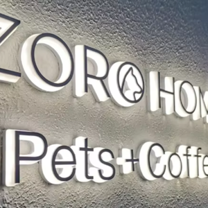 Fabrika toptan lazer kesim akrilik harfler işareti LED aydınlatmalı IP65 su geçirmez dekorasyon reklam şirketi Logo alımı - Product Image 5