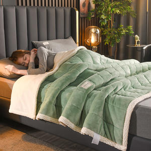 بطانية مخملية دافئة ومبطنة من طبقتين سميكة صلبة مخصصة بسعر الجملة للسرير في الشتاء هدية بسعر مخفض - Product Image 3