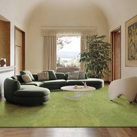 Tapis écologiques Dsemer Colour pour salon, tapis de grande taille pour salle à manger, tapis sur mesure