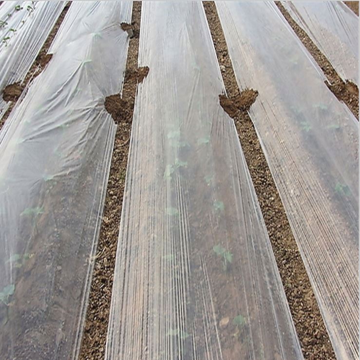 product-203-203 product-203-203