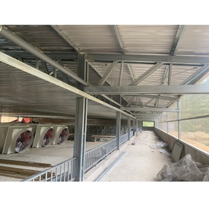PreEngineered Prefabricated Steel Structure Houses Vietnam Premium Manufacturer Poultry Layer Pig Farm Chicken House Wholesaler - Product Image 2