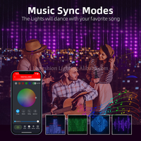 Guirlandes lumineuses LED intelligentes synchronisées à la musique, bande lumineuse RGB pour rideaux, lumières décoratives pour la maison