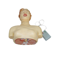 Modelo de entrenamiento médico simulación de PVC maniquí humano de medio cuerpo CPR