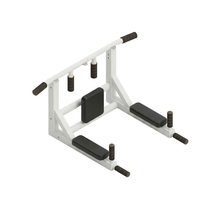 Zyfit Rack de musculation multifonctionnel pour la maison, équipement d'entraînement de force, station de tractions et dips