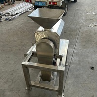 Industriële MA Perzik Mango Ontpit- en Purificatiemachine Jujube Kersen Durian Pruimen Fruitpuree Maker Ontpit- en Klopapparaat 380V