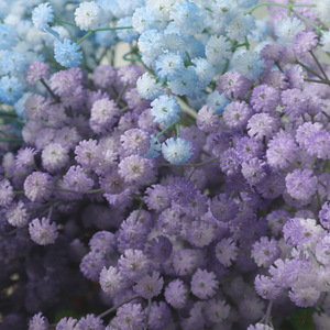 Bouquet de fleurs artificielles Gypsophile 100cm-200cm en plastique pour décoration de mariage et accessoires de salon, fleurs de simulation - Product Image 4