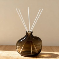 Diffuseur d'huile à roseaux de forme irrégulière avec bâtonnets en fibre et flacon en verre, huile parfumée d'aromathérapie pour la décoration de la maison et du bureau