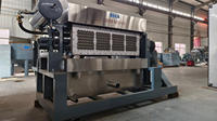 Machine de fabrication de barquettes à œufs en plastique/aluminium pour 30 œufs, prix usine, ligne de production de boîtes à œufs en pâte à papier à 4 côtés
