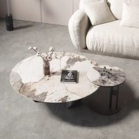 Table basse ronde de luxe moderne, ensemble de table centrale minimaliste pour salon, en acier durable, écologique, design personnalisé, vente en gros