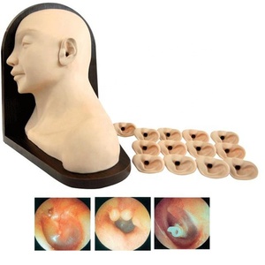 Offre Spéciale Oreille D'inspection Simulateur oreille Diagnostic Modèle de Formation - Product Image 1