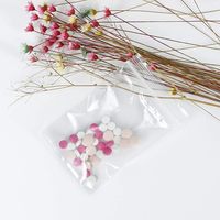 Fermeture à glissière refermable, surface inscriptible, plastique souple, adapté au rangement des bijoux et des petites pièces