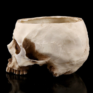 <span class=keywords><strong>Testa</strong></span> del cranio Resina Halloween <span class=keywords><strong>Vaso</strong></span> di Fiori Fioriera - Product Image 3