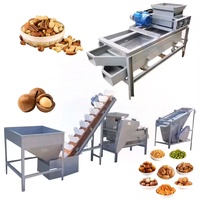 Hazelnootschilmachine, amandelschilbreker en -zeefmachine, pecannootkraker en -scheidingsmachine, palmpitkraker en -scheidingsmachine
