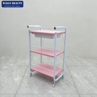 Chariot de Salon de Beauté à 3 Niveaux avec Design Mobile, Chariot de Rangement pour Coiffeur, pour Équipement Professionnel