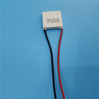 Module de plaque de refroidissement Peltier 2022 Offre Spéciale Module de panneau de plaque de refroidissement Peltier de refroidisseur thermoélectrique 12V