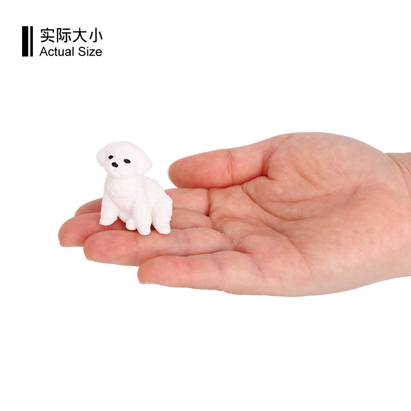 3835 Acting Cute Bichon Frise Dog