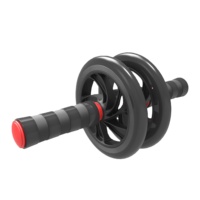 Roue abdominale à double roulement pour exercices à domicile et en salle de sport