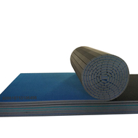 Tapis de cheerleading professionnel enroulable pour la compétition et l'entraînement pour les sports et le divertissement