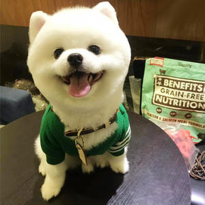 Suéter Navideño para Perro, Estilo Moderno, Ropa de Invierno Tejida para Mascotas, para Perros Pequeños y Medianos, Bulldog Francés, Corgi, Teddy, Gatos - Product Image 2