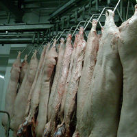 Rail de suspension pour carcasses de bovins et porcins, composants essentiels pour abattoirs, rail tubulaire, équipement de traitement de la viande