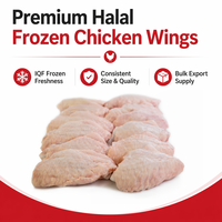 Alas de Pollo Halal Congeladas al por Mayor, IQF para Exportación, Carne de Aves de Corral de Primera Calidad, Suministro de Fábrica