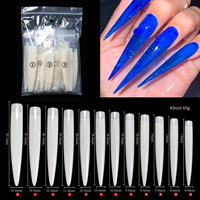 Vente chaude Nail Art Pointed Nail Plaques Stage Performance Extended Salon Display 120 Nail Tips