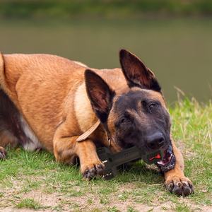 Giocattolo per cani con manubrio in gomma indistruttibile a prova di perdite di cibo Dispenser resistente al morso giocattolo da masticare per stimolazione mentale e cure dentistiche - Product Image 6