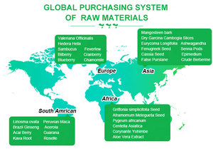 Campione gratuito di <span class=keywords><strong>Arrowroot</strong></span> in polvere con HACCP per integratore sanitario - Product Image 5