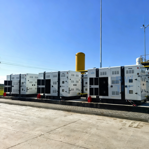 Generador de 250kW 312kVA a Gas Natural/GLP/Biogás, CE ISO, Suministro OEM Personalizado al por Mayor, Precio de Fábrica, 50/60Hz, Preparado para Conexión en Paralelo - Product Image 4