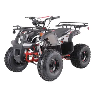 Motore Tao vendita calda per bambini 110cc 125cc su misura in acciaio tubo automatico motocicli 1000cc Polaris Atv tamburo anteriore + tamburo posteriore 7 pollici