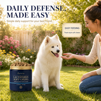 Lactoferrine Soutien Immunitaire Friandises à Mâcher pour Chiens Lécithine Bien-être Quotidien Formule Haute Puissance Naturelle Premium OEM
