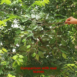 Lụa mô phỏng Banyan thực vật màu xanh lá cây nhựa trang trí Banyan lá và chi nhánh cho Giáng sinh cảnh quan và kỹ thuật - Product Image 3