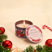 Collection de bougies artisanales écologiques et biologiques aux senteurs de cannelle épicée de qualité supérieure, pour Noël, la Saint-Valentin et Diwali