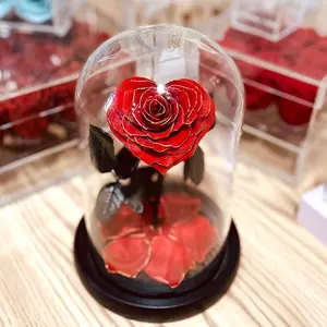 心形金边红色保鲜玫瑰12*20玻璃圆顶永恒玫瑰保鲜玫瑰，持续一年