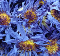 Lotus bleu égyptien biologique Nymphaea Caerulea |   Herbe aphrodisiaque pour fumer pré-roulé |   Thé aux fleurs pour le bien-être holistique
