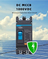 Boîtier moulé solaire Disjoncteur DC MCCB Protection contre les surcharges Protecteur Photovoltaïque PV 125A 2P Isolateur de batterie