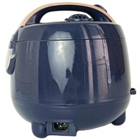 Cuisinière à riz électrique portable de luxe 1,5 L, revêtement antiadhésif, minuterie mécanique, acier inoxydable, motif tigre mignon, approvisionnement direct usine