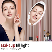Miroir de maquillage de bureau en plastique LED personnalisé M5, simple face, température de couleur réglable, lumière rose dorée, porcelaine