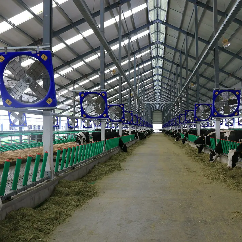38 inch trang trại Barn người hâm mộ thiết bị/nông nghiệp người hâm mộ/Ứng dụng điều khiển có sẵn