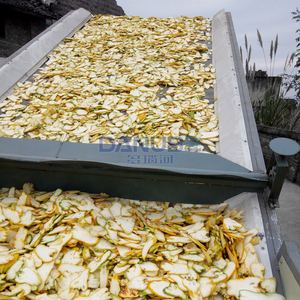 Équipement industriel de déshydratation et de traitement des fruits : Convoyeur à mailles, machines de nettoyage, de découpe et de transformation des pêches et citrons - Product Image 5