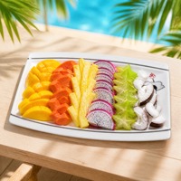 Assiette en mélamine incassable, blanche brillante, de qualité alimentaire, réutilisable, empilable, pour hôtel, restaurant, service de traiteur