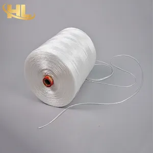 Wuxi Henglong OEM Wholesale UV Resistant Agriculture Green House Growing Vegetables Fruit PP Poly Twine