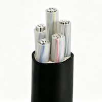 Câble d'alimentation électrique industriel flexible à moyenne tension personnalisable, conducteur en aluminium XLPE, indice de protection IP68, pour appareils ménagers