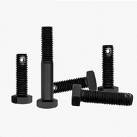 Boulon hexagonal en acier noir à haute résistance avec trou de sécurité pour fil métallique, pour l'automobile