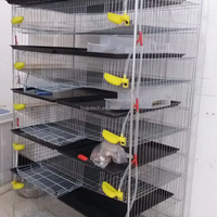 Vente Flash : Cage à Cailles en Métal Galvanisé de Haute Qualité avec Alimentation Semi-Automatique et Plateau de Collecte des Œufs pour Élevage Avicole HJ-QC400A