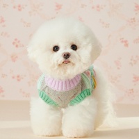 Gilet en tricot rayé pour animaux de compagnie, automne-hiver, décoré de pompons 3D colorés, sans manches, vêtements chauds pour chiot, chaton, à porter tous les jours