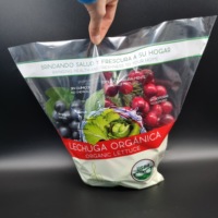 Sacs d'emballage en plastique CPP perforés thermosoudés sur mesure, impression en héliogravure, qualité alimentaire, résistants à l'humidité, recyclables pour
