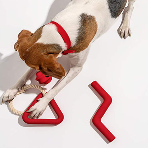 <span class=keywords><strong>Jouet</strong></span> à mâcher pour chien en caoutchouc dégradable et résistant aux déchirures en forme de <span class=keywords><strong>cactus</strong></span>, fournitures pour animaux de compagnie en gros - Product Image 4