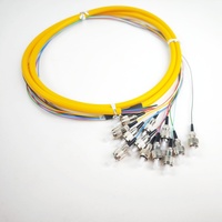 Suministro Directo de Fábrica, Cable de Fibra Óptica de Alta Calidad de 0.9, 2.0 y 3.0 mm, FC/UPC, 12 Núcleos, Cable Pigtail, Cable de Conexión de Fibra Óptica para FTTH