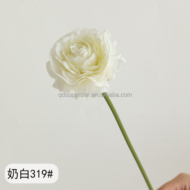 Blanco Crema